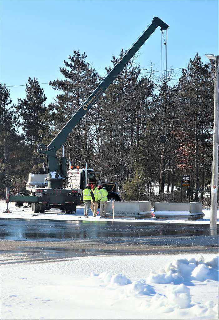 Effortlessly Move Large Trees with Midnight Crane